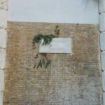 Carlo Alberto