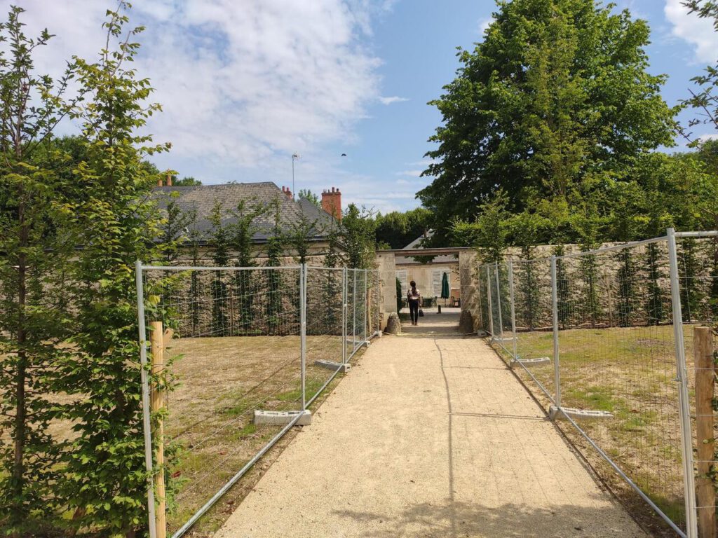Activity gallery image