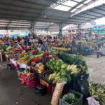 Markets and Indigenous community