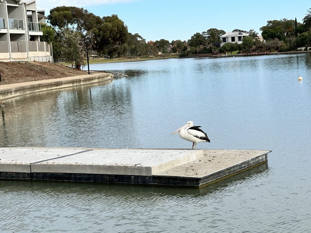 Activity gallery image
