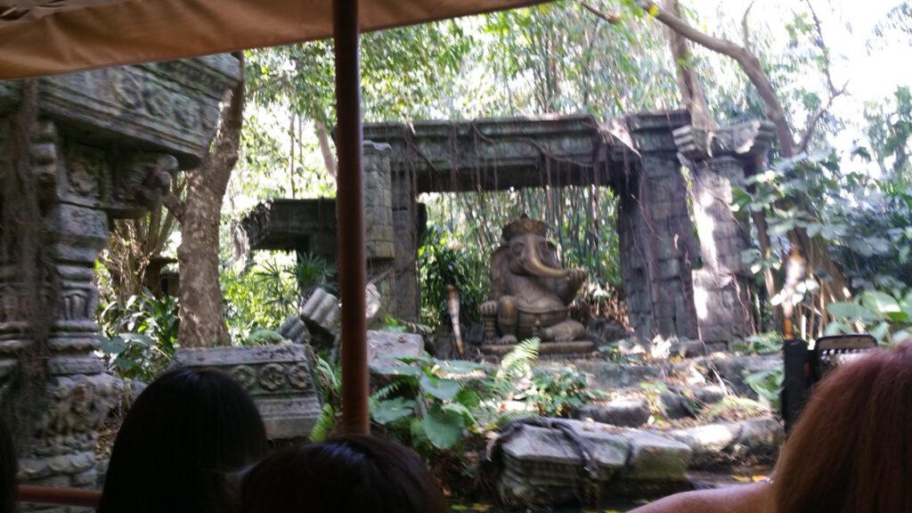 Activity gallery image