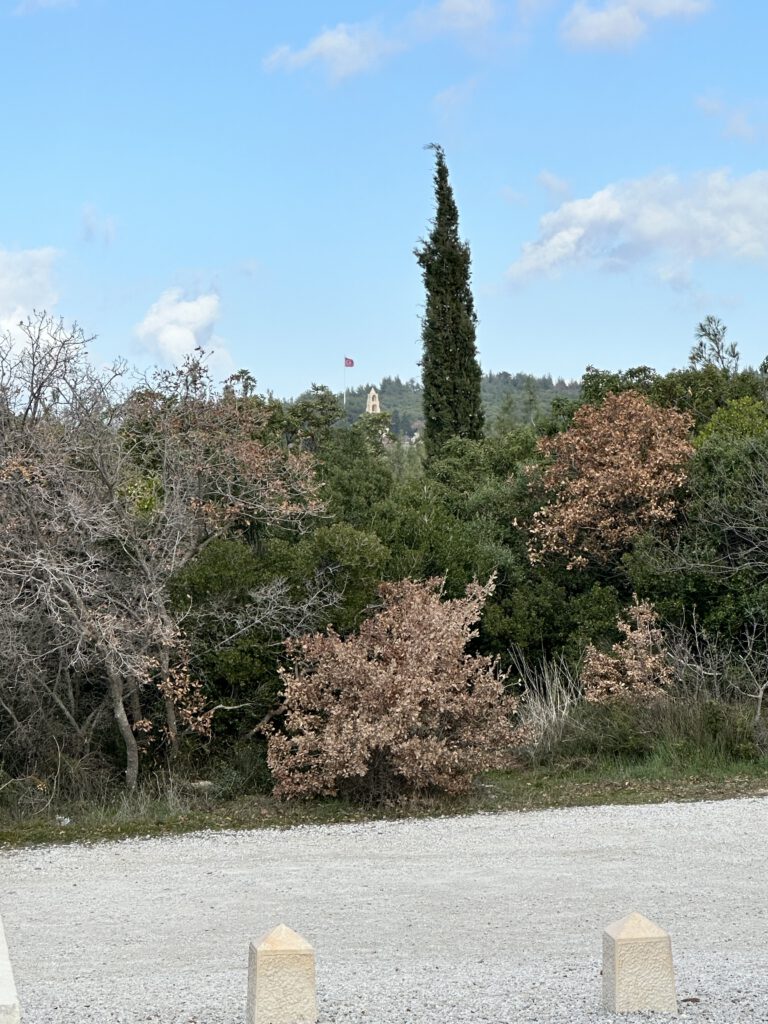 Activity gallery image