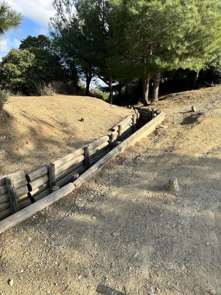 Activity gallery image